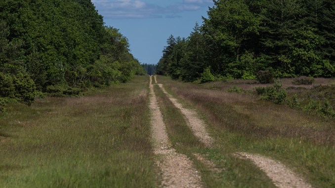 kompedal_grusvej_plantage_n_letr_eer_per_fl_ng kompedal_grusvej_plantage_n_letr_eer_per_fl_ng